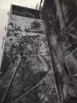 Gibson LZZY HALE SIGNATURE EXPLORERBIRD 2