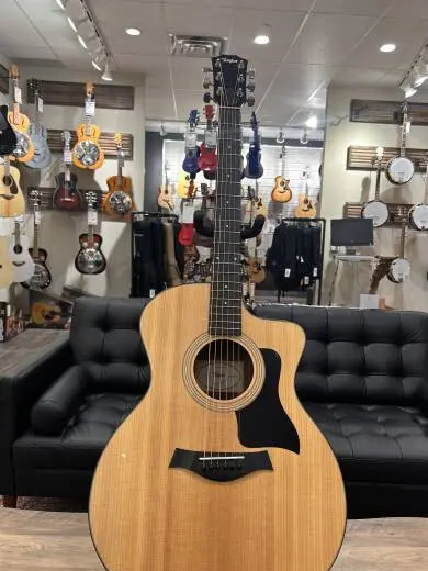 Taylor Guitars - 114CE W V2