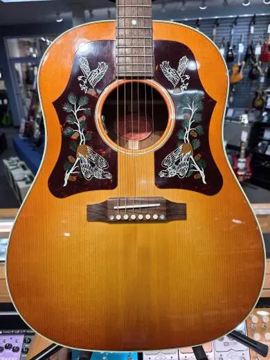 Gibson - ACMP45HCNH