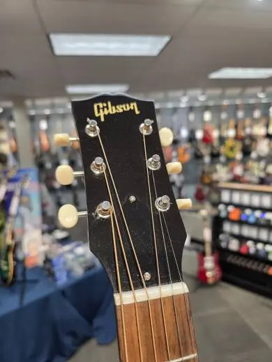 Gibson - ACMP45HCNH 2