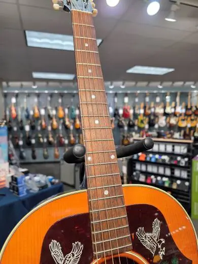 Gibson - ACMP45HCNH 2
