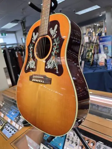 Gibson - ACMP45HCNH 2