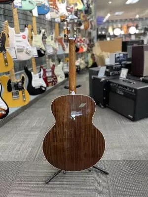 Taylor Guitars - 815E LTD 2