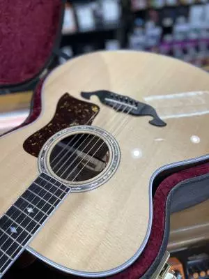 Taylor Guitars - 815E LTD 2