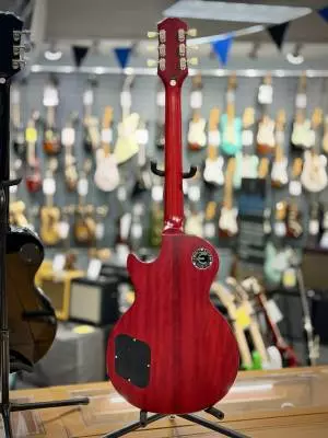 Epiphone - EL59ALBNH 2