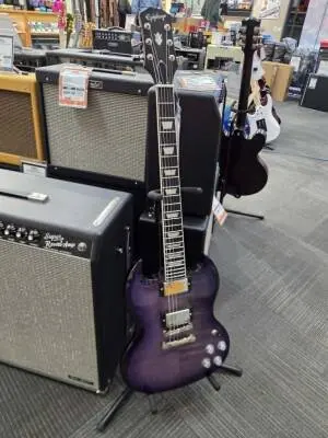 Epiphone - EISMPRBNH 2