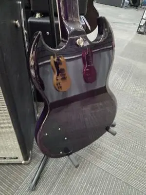 Epiphone - EISMPRBNH 2