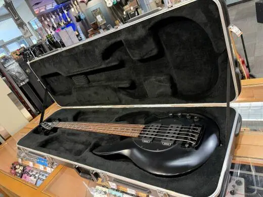Ernie Ball Music Man - 162-66-64-P2 2