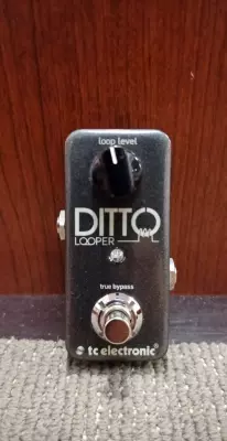 Store Special Product - TC Electronic - DITTO LOOPER