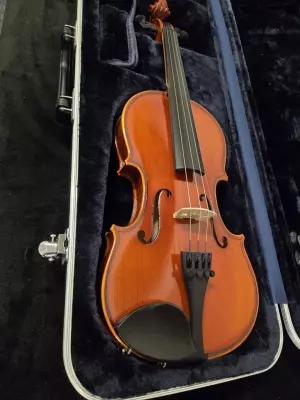 Eastman Strings - VL80LM 3/4 OF 2
