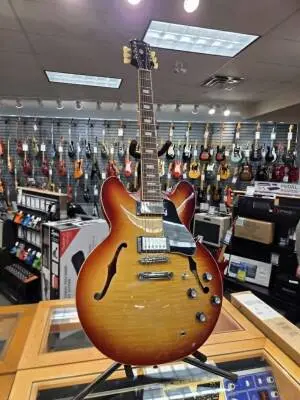 Epiphone ES-335 FIG RASPBERRY BURST 2