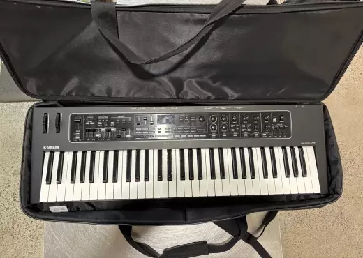 Yamaha - CK61 2