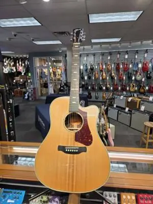 Gibson - AC735RANNH 2