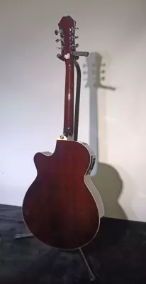 Epiphone - PR4EVSCH 2