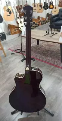 Yamaha - APX600 NT 2