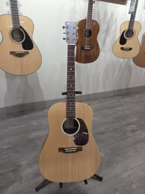 Martin Guitars - DX2E-2