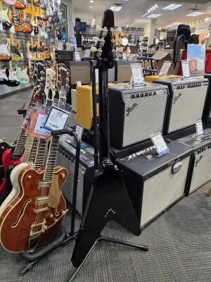 Epiphone - EIFVEBNH 2