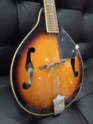 FENDER FM-100 MANDOLIN 2