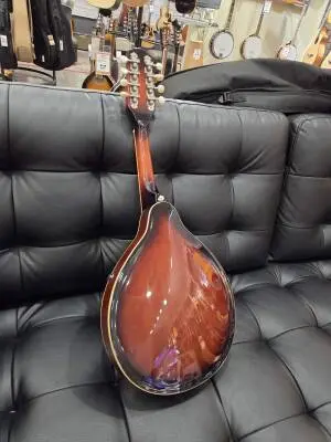 FENDER FM-100 MANDOLIN 2
