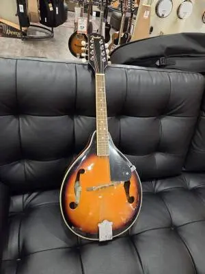 FENDER FM-100 MANDOLIN