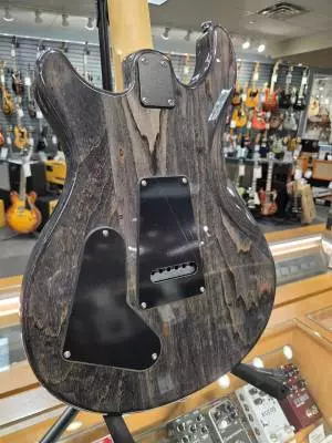 PRS Guitars SE SWAMP ASH SPECIAL CHARCOAL 2