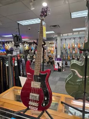 Epiphone - EBEMBUNH 2