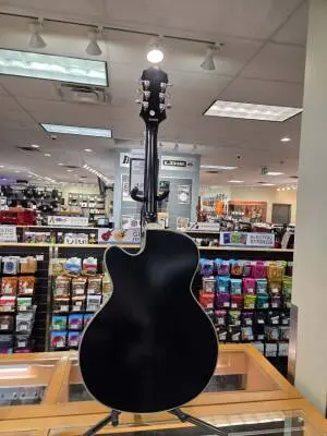 Epiphone - ETSWBANB 2