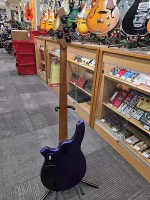 Sterling by Music Man - BONGO-FMPS-R2 2