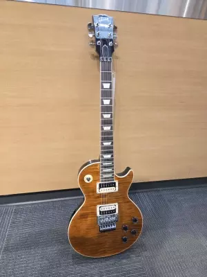 Gibson Custom Shop - LP AXCESS STD FR SIBRN TIG. TOP/E 2