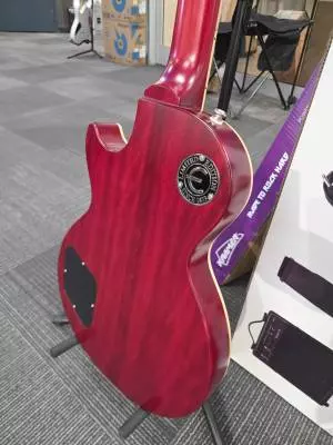 Epiphone EL59ALBNH 2