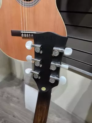 Gold Tone - CC-BANJITAR 4