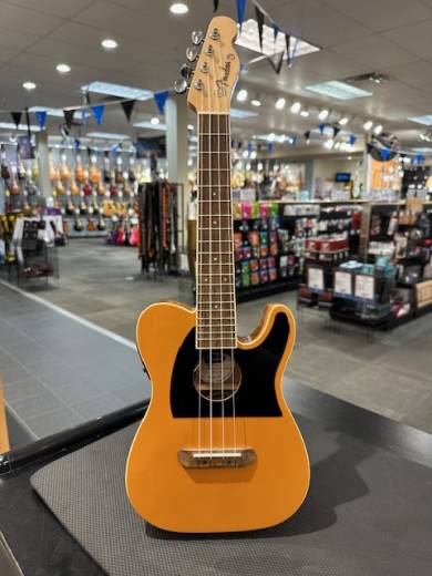 Fender - 097-1653-050