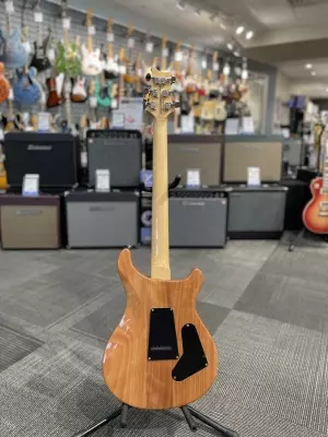 Paul Reed Smith - 2018 SE Custom 24 Lefty Electric Guitar - Trampas Green 2
