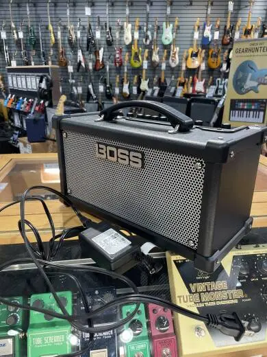 BOSS - Dual Cube LX Stereo Guitar Amplifier 2