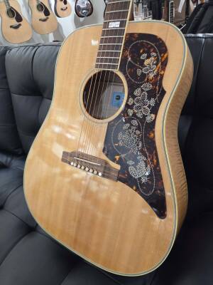 Store Special Product - Epiphone - ACEFTANGH