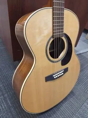 Seagull Mini Jumbo Acoustic w TRIC case