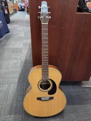 Seagull Mini Jumbo Acoustic w TRIC case 2