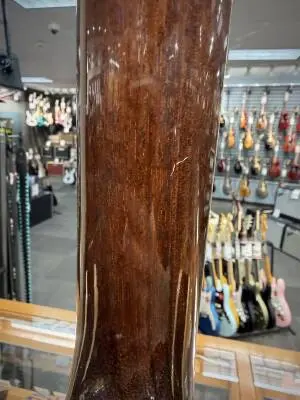 Epiphone - ESECA00RTNH 2