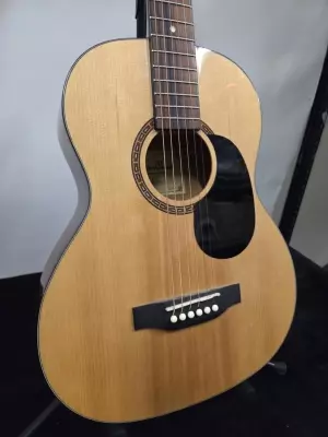 BeaverCreek -  3/4 SIZE STEEL STRING 2