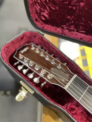 Taylor Guitars - 855E LTD 2