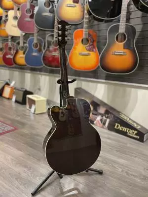 Gibson - MCSBLPPVS 2