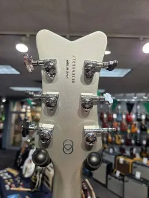 G6134T-140 LTD 140th Double Platinum Penguin, Ebony Fingerboard - Two-Tone Stone Platinum/Pure Platinum 2