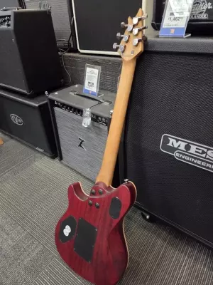 EVH -WG STD EXOTIC BKD MPL KOA 3