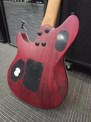 EVH -WG STD EXOTIC BKD MPL KOA 4