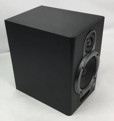 YSM2P-2 Studio Monitor