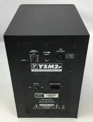 YSM2P-2 Studio Monitor 2