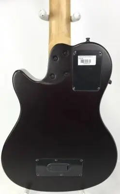 Godin Guitars - 5 STRING FRETLESS BASS 2