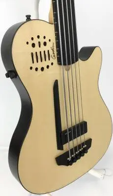 Godin Guitars - 5 STRING FRETLESS BASS 2