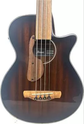 Ibanez - AEGB24FEMHS Acoustic Fretless Bass 2
