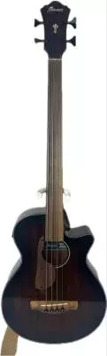Ibanez - AEGB24FEMHS Acoustic Fretless Bass